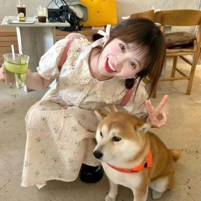 爱情理论